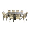 Fire Bowl, Grill and Ice Oval 10 Chair Dining Set