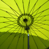 Shanghai 2.7M Lime Parasol